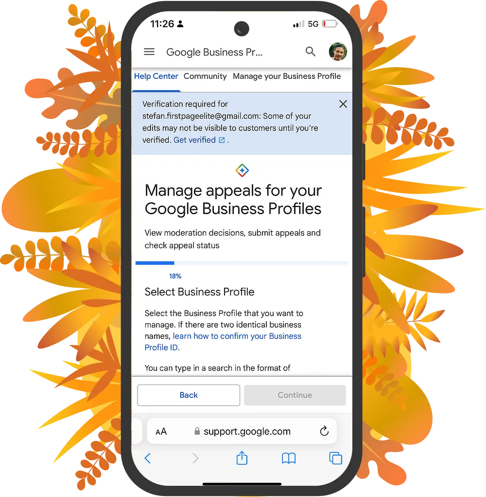 GBP-support-package-2 Google-Business-Profile-support-package-mobile